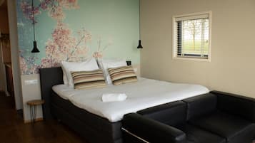 Apartment, Smoking | 1 bedroom