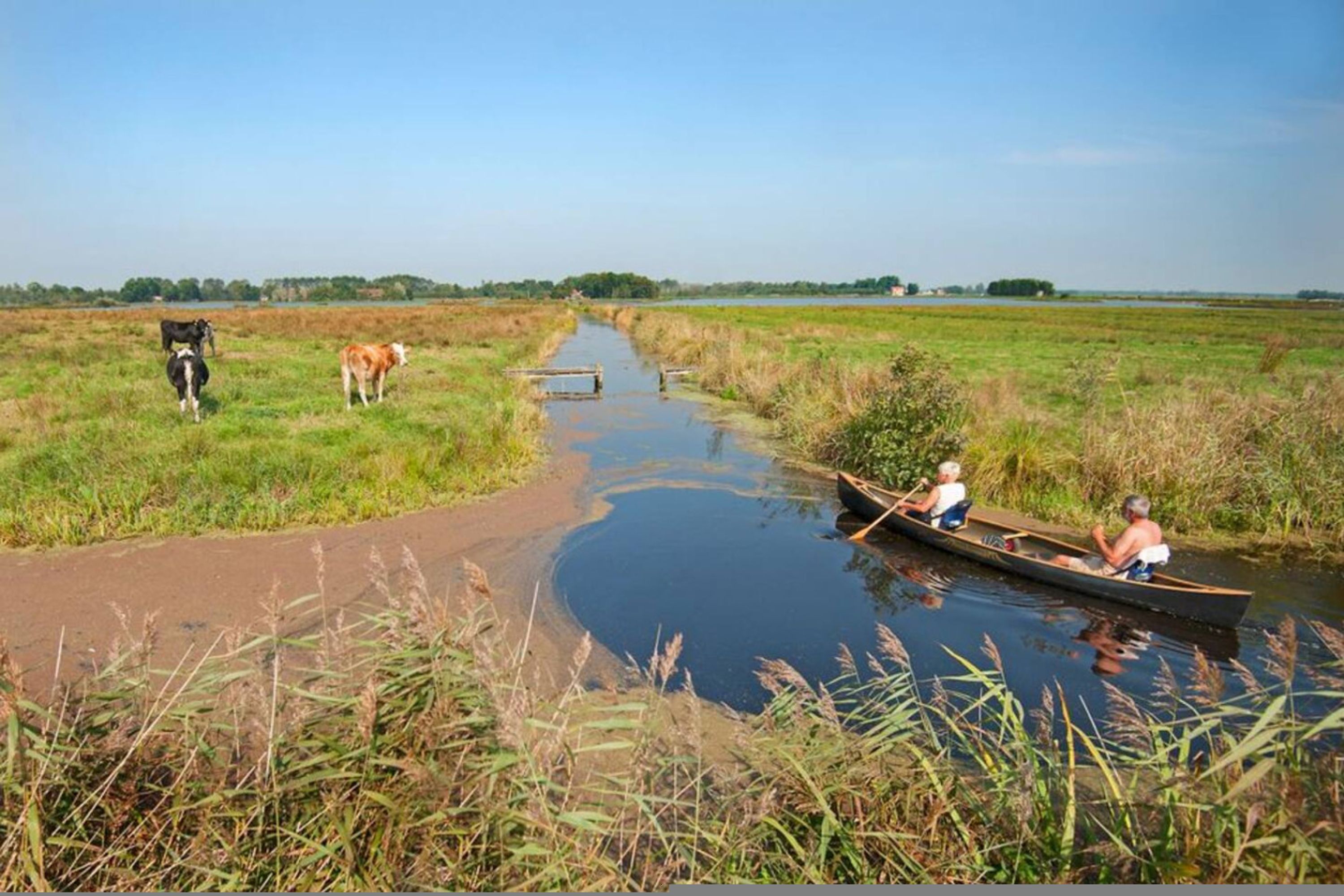 Un río con un sendero estrecho y ganado pastando en sus orillas.