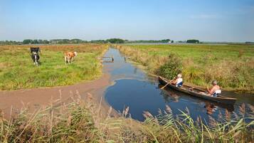 Un río con un sendero estrecho y ganado pastando en sus orillas.