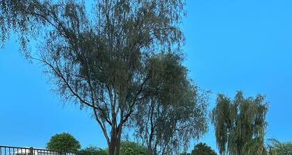 Soothing 3-bedroom Johnson ranch house in San Tan Valley on San Tan golf course.