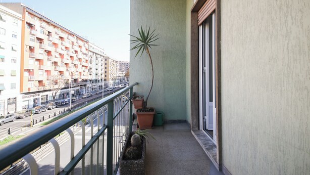 A balcony with a view of a busy street, potted plants, and a building with balconies. - Domus Alexander by Ghor (Rome)