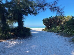 Un sendero arenoso que lleva a una playa, con un cielo azul despejado.