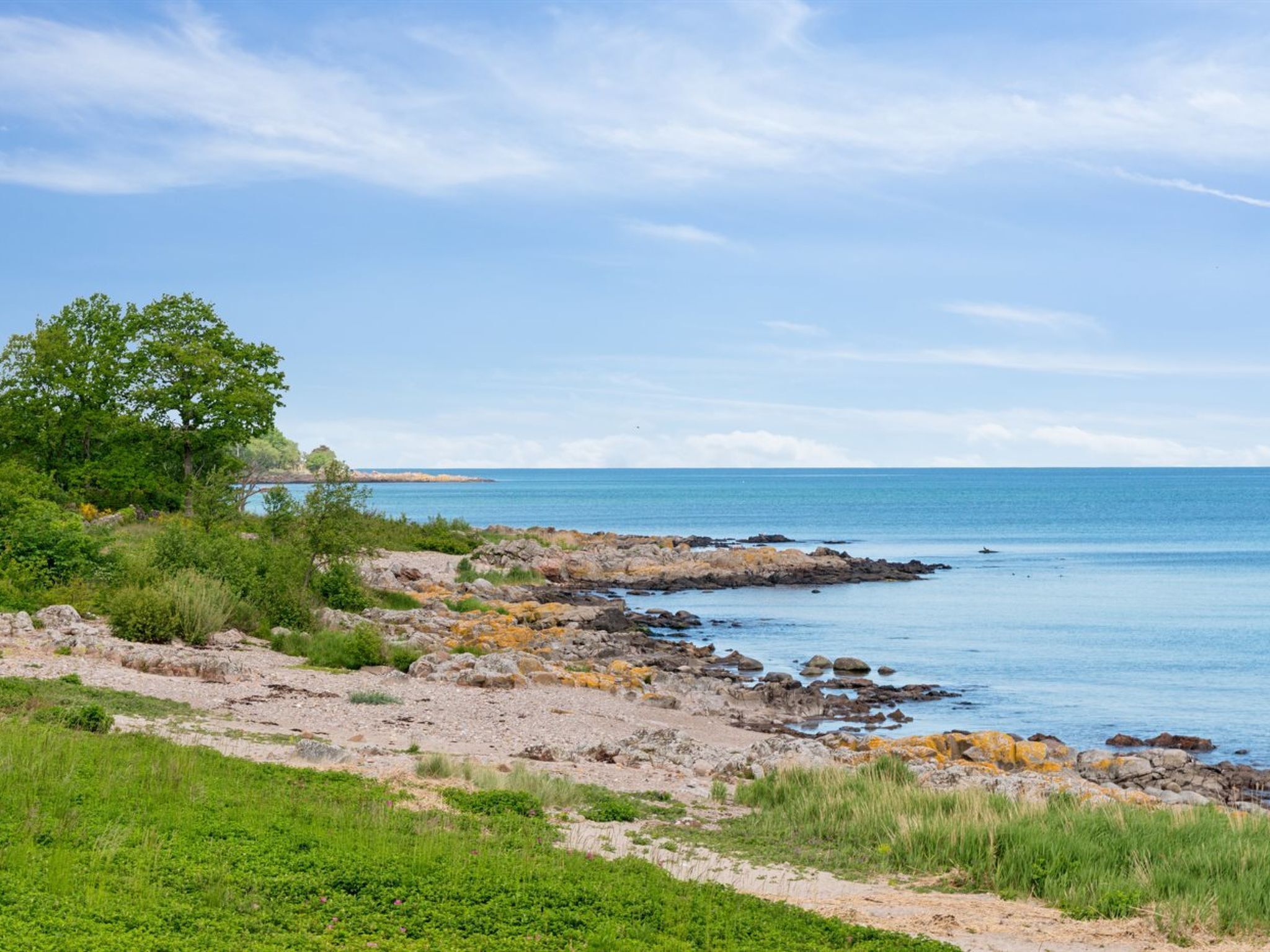 A coastal landscape with rocky terrain, green vegetation, and a clear blue sky.