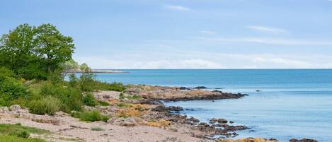 A coastal landscape with rocky terrain, green vegetation, and a clear blue sky.