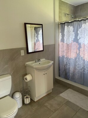 Shower, toilet paper - SAMOGETAWAY. Four seasons cottage escape. It features of privacy and wilderness. (Dunchurch)