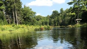 On peut clairement voir une rive avec une jetée en bois qui s’avance dans l’eau.