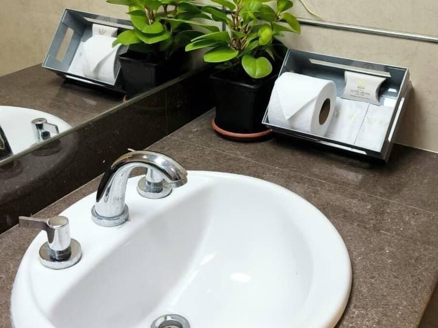 Ein Waschbecken mit Spiegel, zwei Topfpflanzen und einem Handtuchspender.