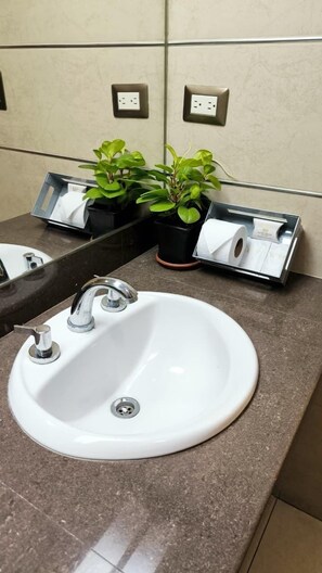 Un lavabo de salle de bain avec un miroir, deux plantes en pot et un distributeur de serviettes.