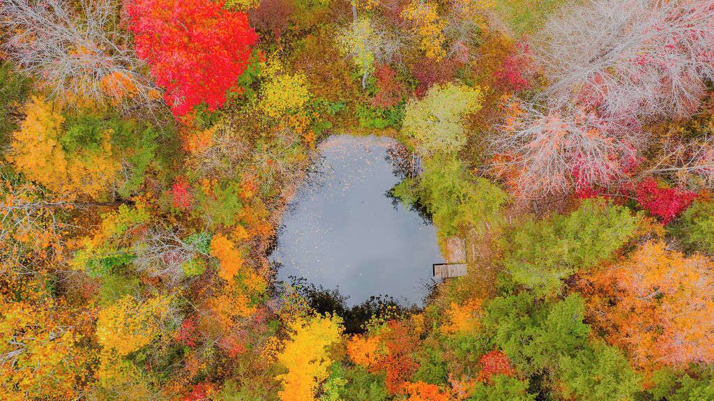 A pond surrounded by trees in autumn colors.