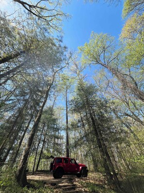 Exterior - Waterfront A- Frame With Dock, Canoe + Kayaks (Amanda)