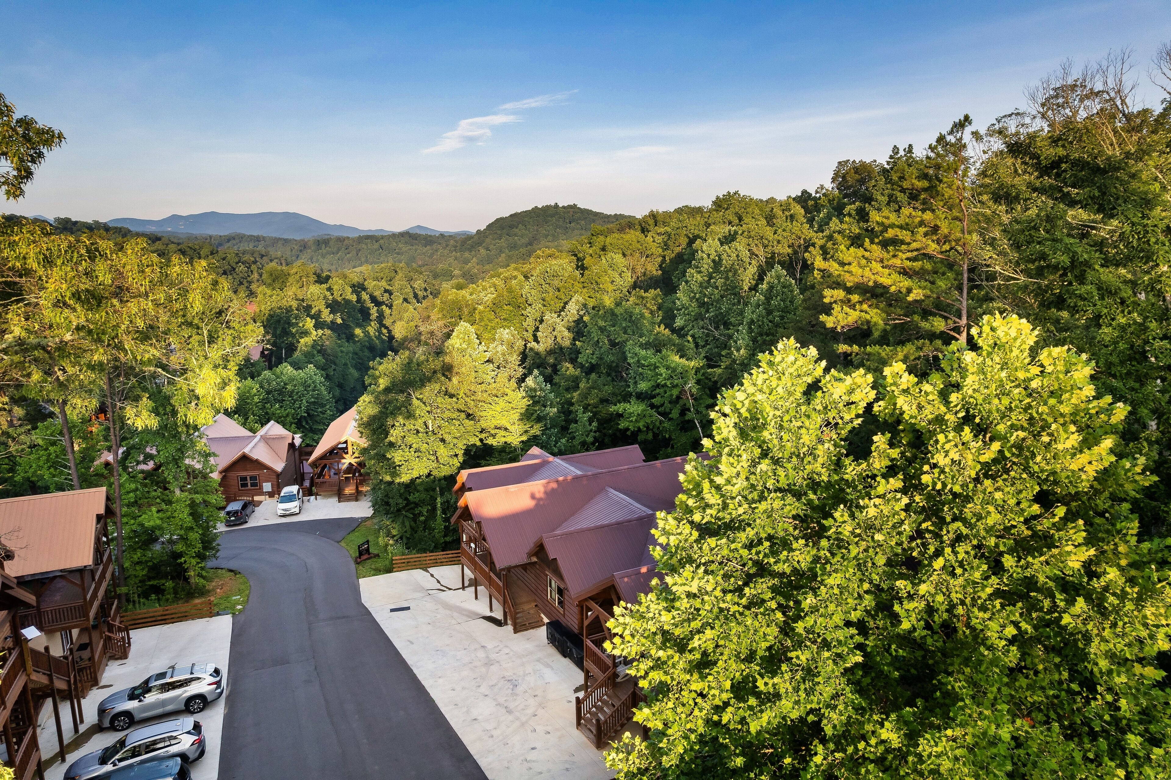 A lodge with multiple cabins, a winding driveway, and a forested backdrop.