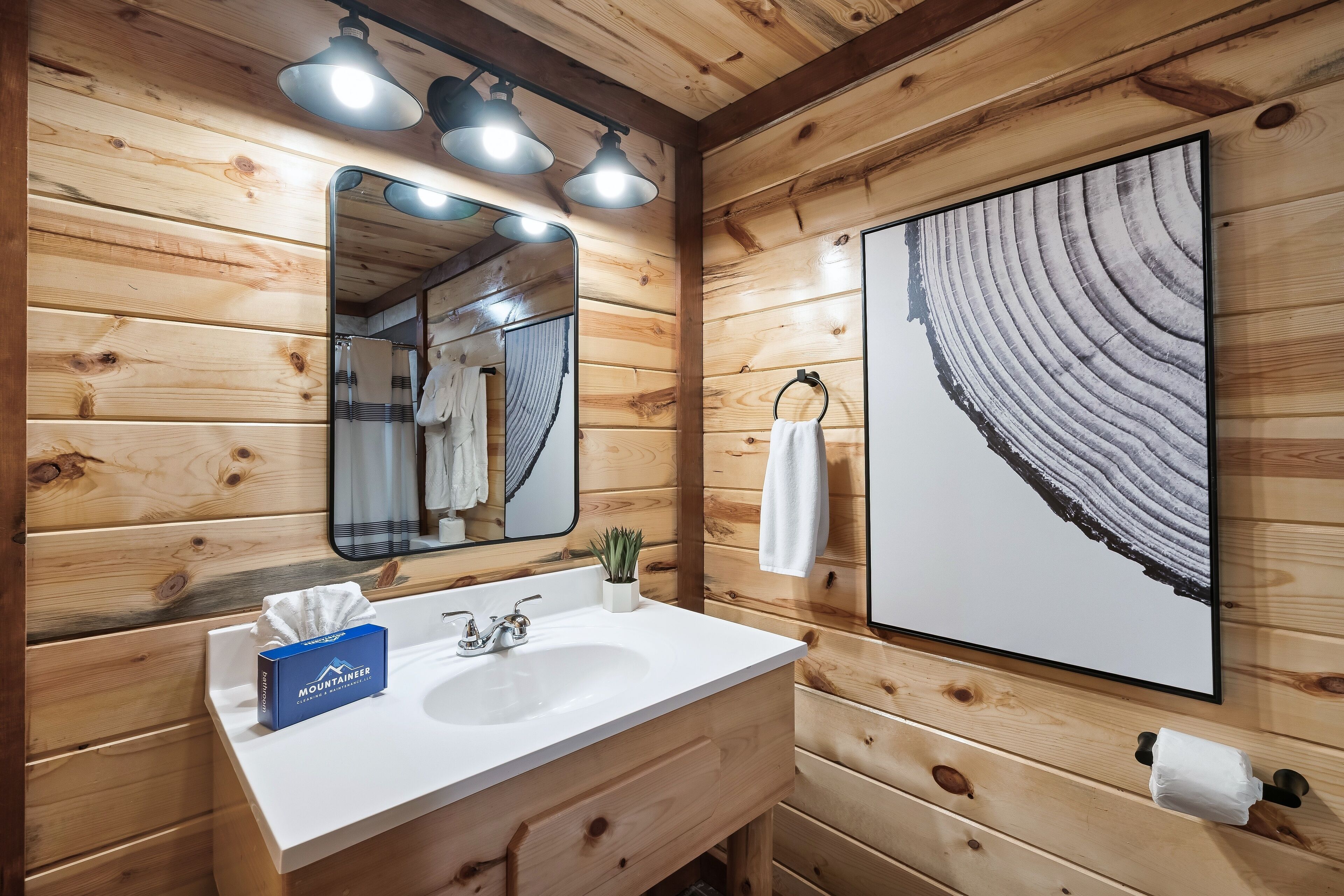 Luxury Cabin, Mountain View | Bathroom