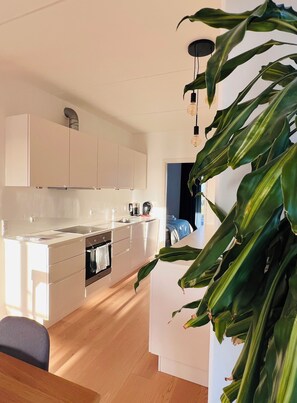 Private kitchen - Modern fully equipped 2-bedroom apartment in København neighborhood (København)