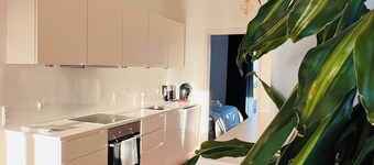 Modern fully equipped 2-bedroom apartment in København neighborhood