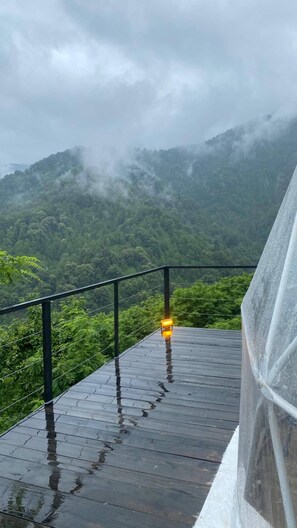 Property grounds - Mtirala glamping (Kobuleti)