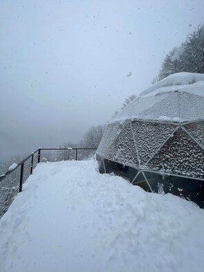 Property grounds - Mtirala glamping (Kobuleti)