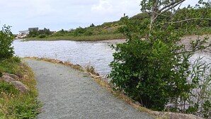 A paved pathway alongside a body of water, surrounded by greenery and a hill with buildings in the background.