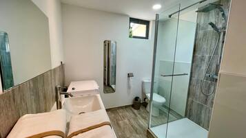 Shower, hair dryer