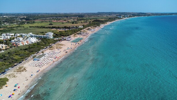 Eine Luftaufnahme eines Strandes mit klarem türkisblauem Wasser, einem sandigen Ufer und einer Reihe von Strandsonnenschirmen.