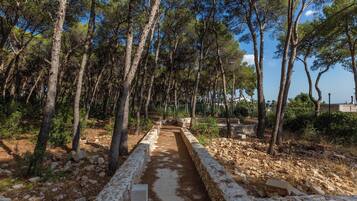 Parco della struttura