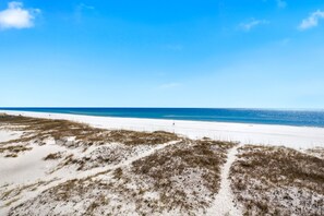 On the beach - NEW LISTING!! SUMMER BREEZE - Beachfront Home- NO HASSLE CHECK OUT (Gulf Shores)
