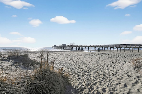 Beach - Sandbox and Sunshine. Adorable 1 Bd 1 Bath Condo in Margate (Margate)