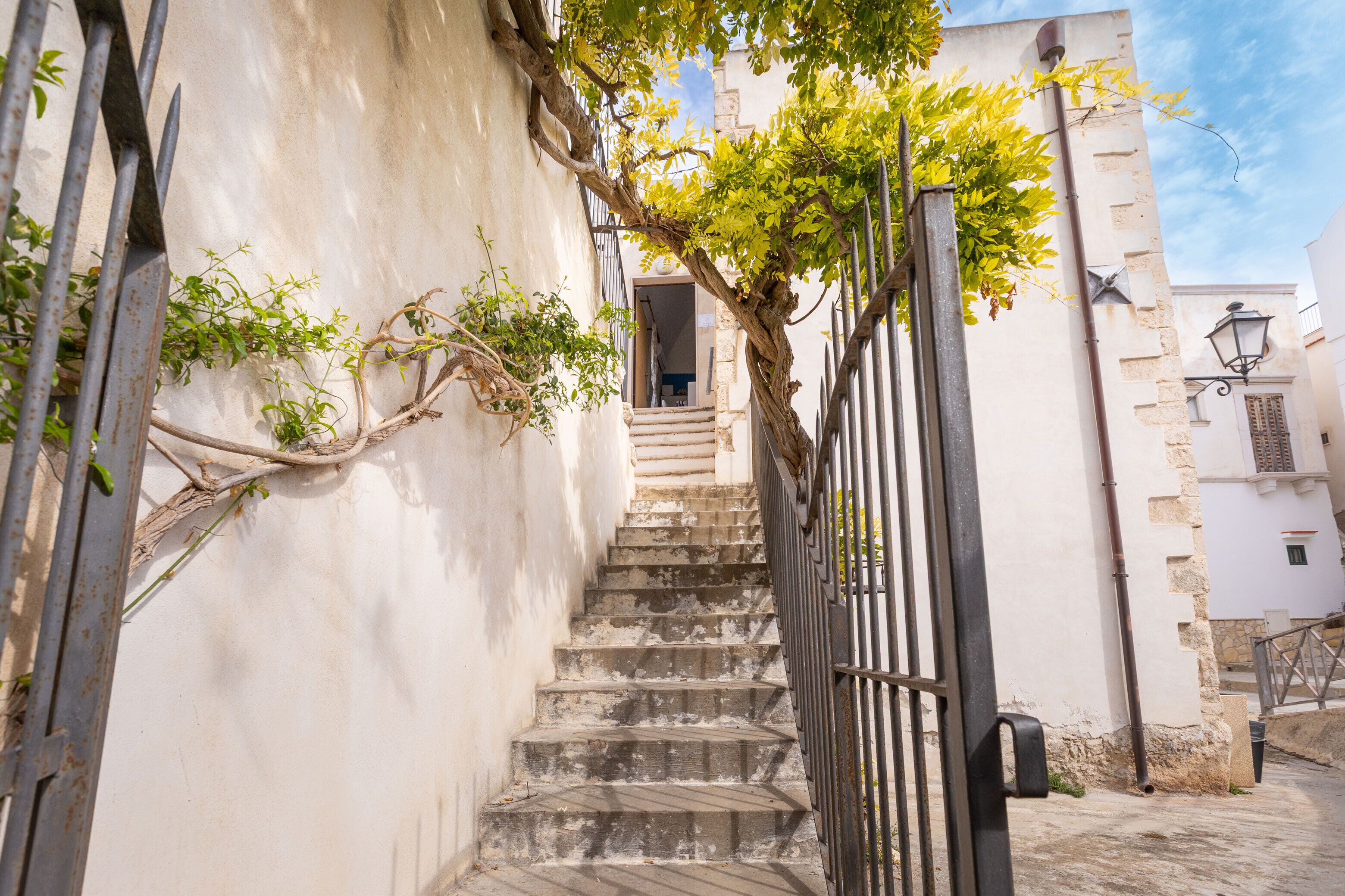 Parco della struttura