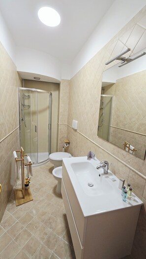 Shower, hair dryer, bidet, towels