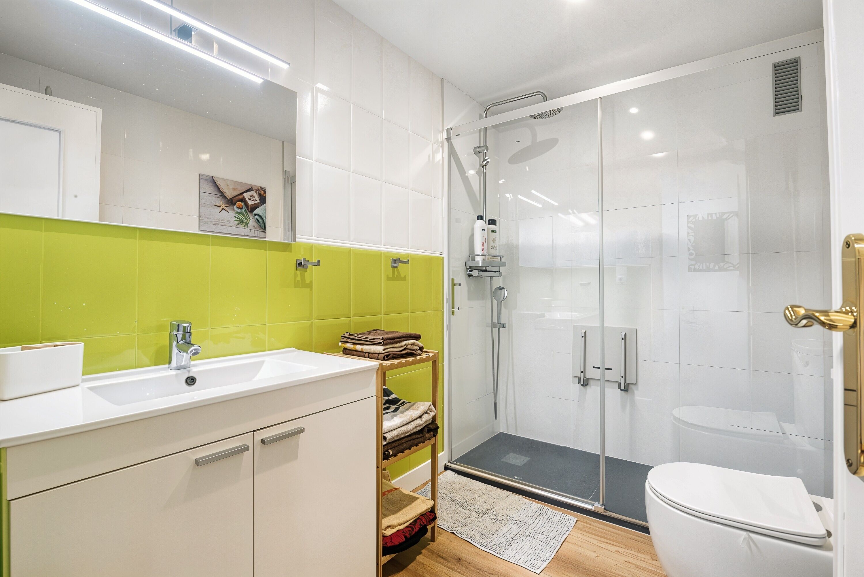 Shower, hair dryer, towels