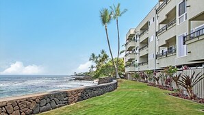 Ein Hotel direkt am Strand, mit einer Steinmauer, Rasen und Palmen.