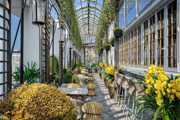 Rooftop terrace