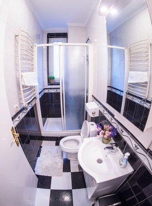 Une salle de bain équipée d’une douche, de toilettes, d’un lavabo et d’un miroir.