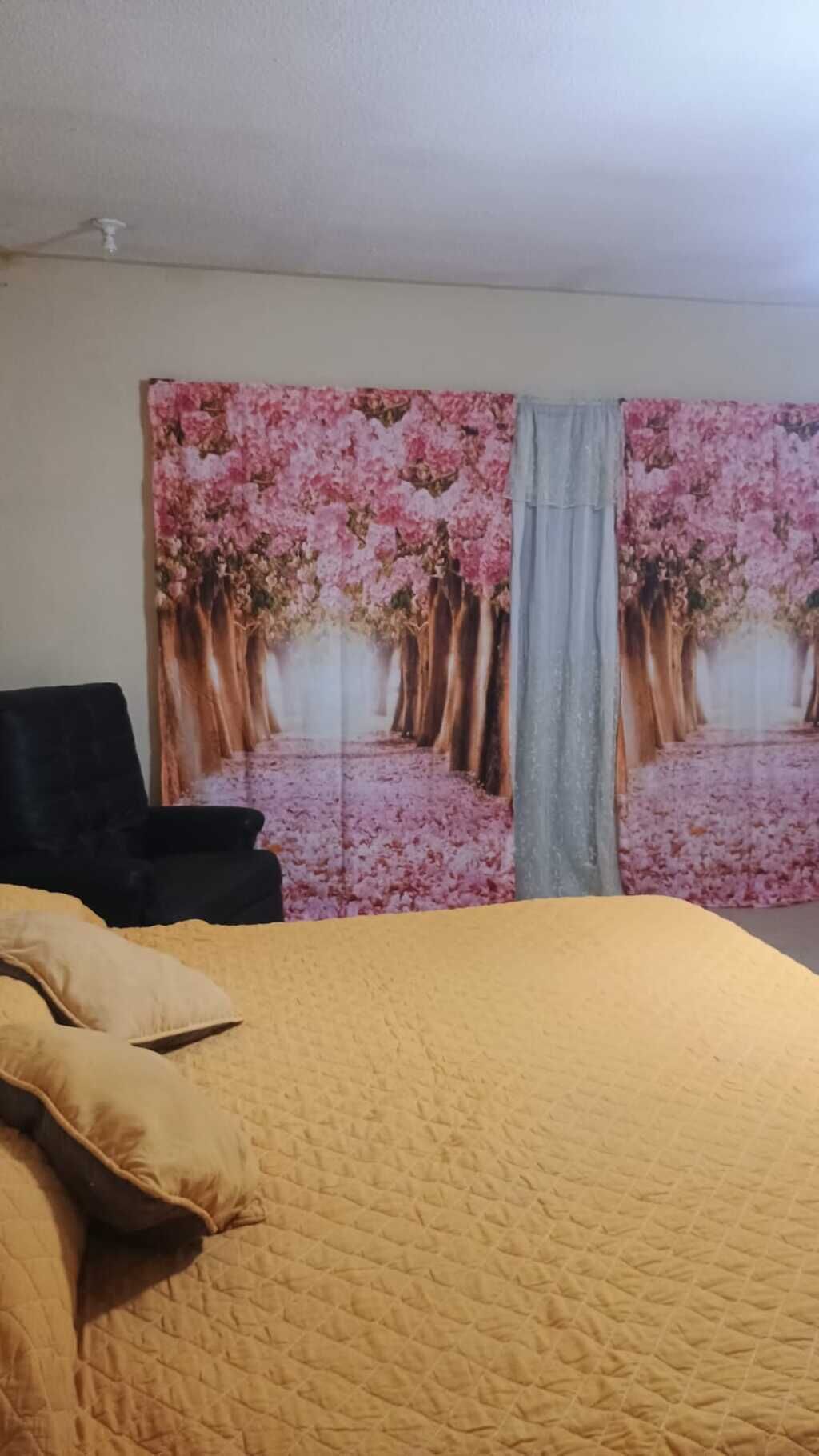 Superior Room | Free WiFi