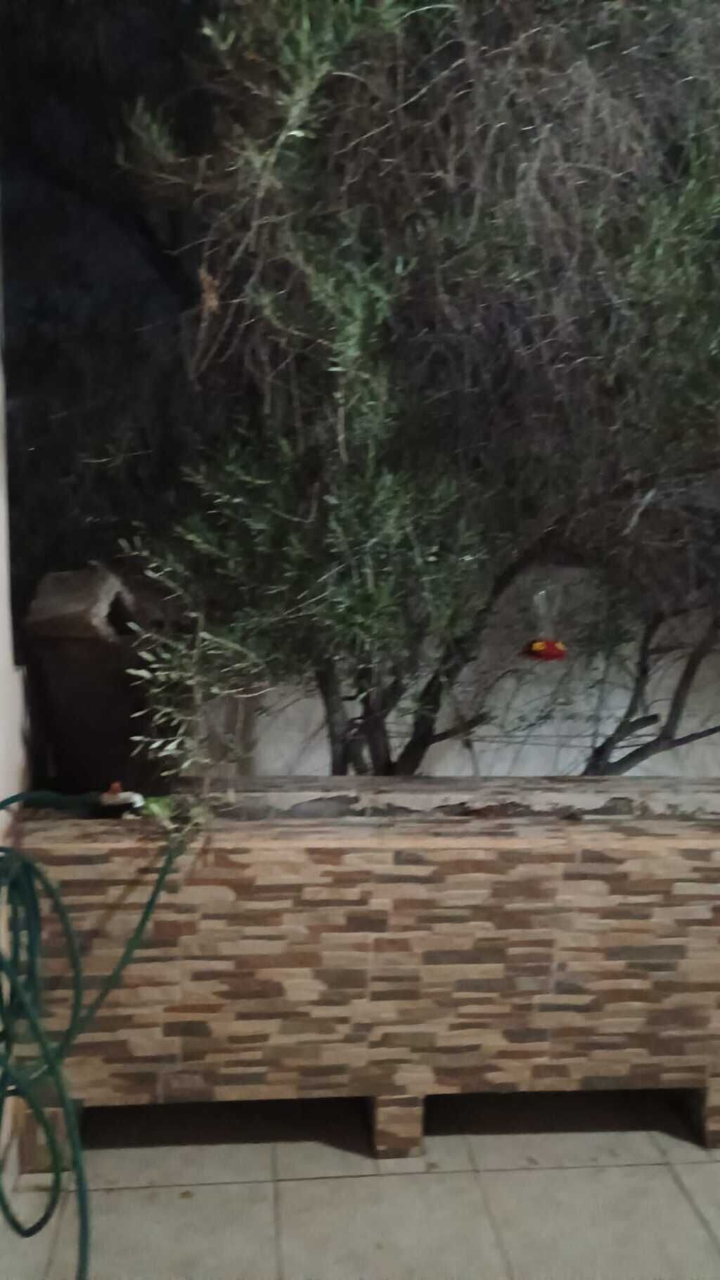 Habitación, patio | Terraza o patio