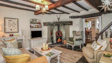 Una sala de estar acogedora con chimenea, televisión y un espacio de descanso confortable.