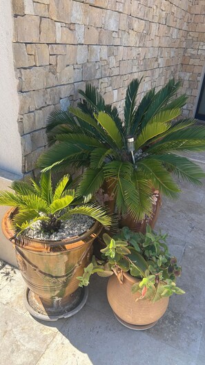 Property grounds - Family home with pool and garden in a quiet location near Uzès and the Pont du Gard (Sanilhac-Sagriès)