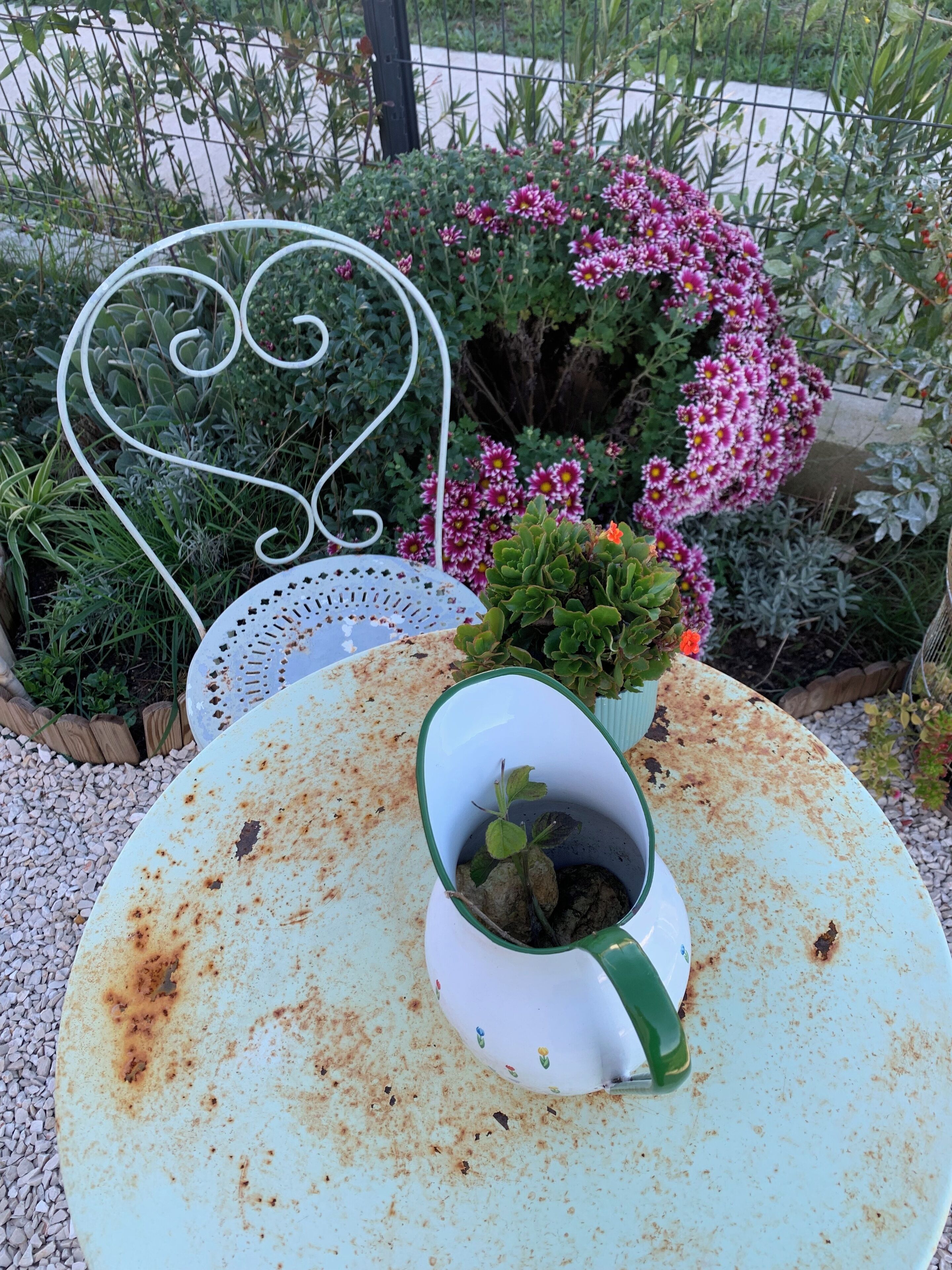 Une table ronde avec un plateau blanc et un pied vert, entourée d’un jardin où poussent différentes plantes et fleurs.