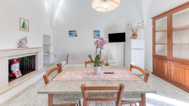 Ein Essbereich mit Tisch, Stühlen, einem Blumenstrauß, einem Fernseher und einem Kamin.