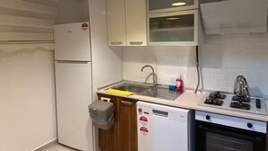 Eine kleine Küche mit Kühlschrank, Geschirrspüler, Herd und Spüle inklusive Wasserhahn.