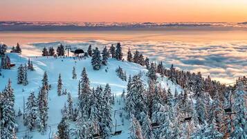 Wintersport/Ski