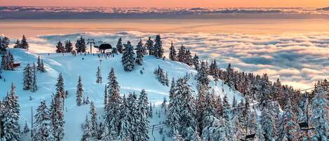 Deportes de invierno y ski