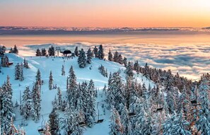 Wintersport/Ski