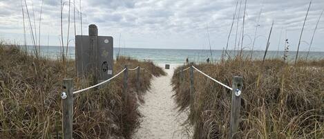 Playa en los alrededores