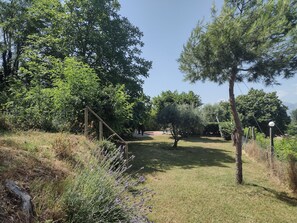 Property grounds - Casa Alta - 4 Bedroom Stunning Views and Villa with Pool in Medieval  Hill Town (Sant'Angelo in Pontano)