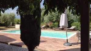 Una piscina con sillones de playa y sombrillas, rodeada de vegetación y una zona de patio con baldosas.