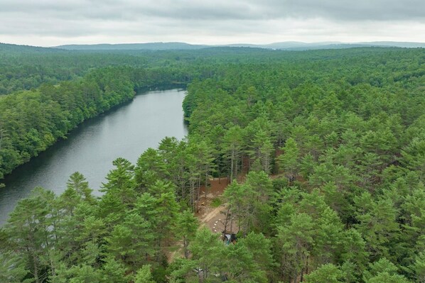 A river winding through a dense forest with a small cabin visible in the foreground.