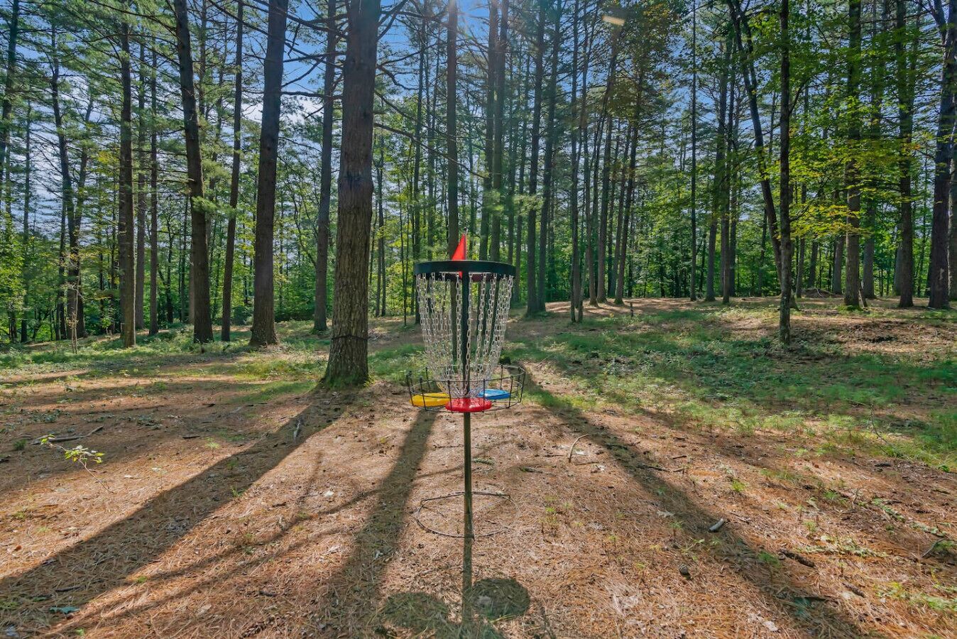 Un panier de disc golf situé dans une zone boisée.