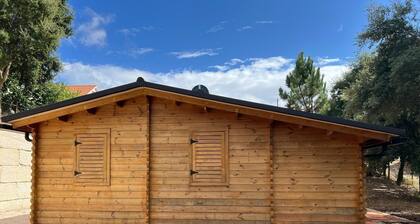 Quinta do Pinheiro - Pets accepted!
