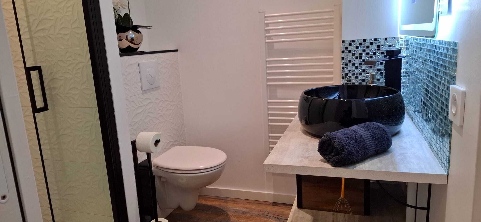 Hårtork, handdukar och toalettpapper