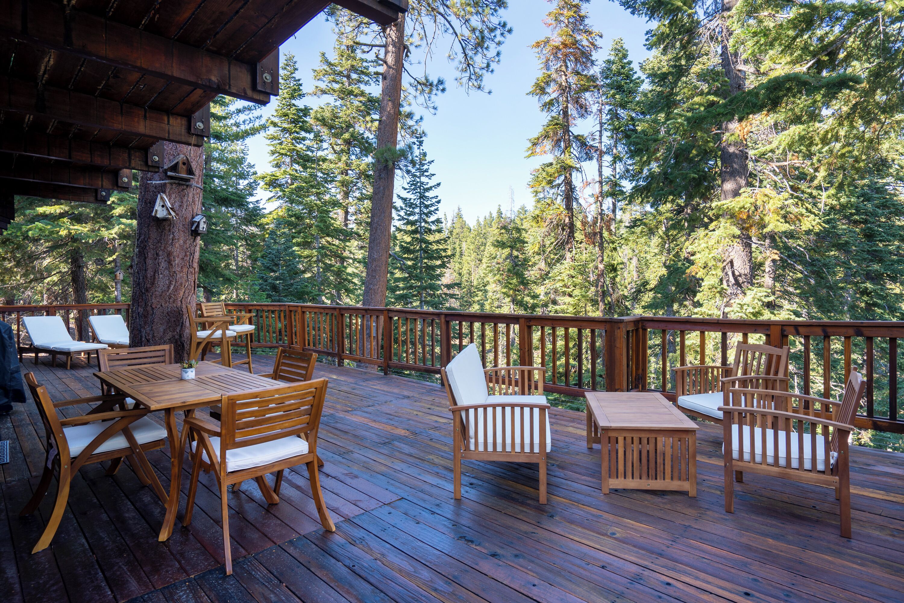 Opções para refeição ao ar livre